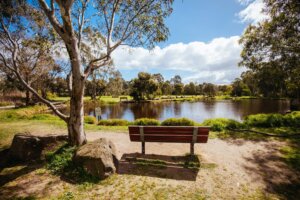 NDIS Support Services